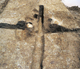 FileNo.159-028.jpg
