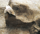 FileNo.159-029.jpg