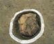 FileNo.159-042.jpg