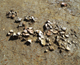 FileNo.159-043.jpg