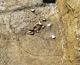 FileNo.159-044.jpg