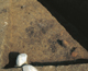 FileNo.159-047.jpg