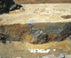 FileNo.159-050.jpg