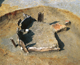 FileNo.159-053.jpg