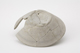 FileNo.159-086.jpg