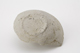 FileNo.159-096.jpg