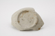 FileNo.159-101.jpg