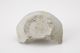 FileNo.159-104.jpg