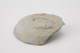 FileNo.159-125.jpg