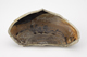FileNo.159-157.jpg