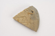 FileNo.159-163.jpg