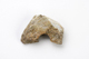 FileNo.159-198.jpg
