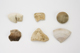 FileNo.159-216.jpg