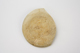 FileNo.159-235.jpg