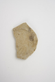 FileNo.159-236.jpg