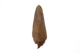FileNo.159-249.jpg