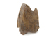 FileNo.159-250.jpg