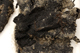FileNo.159-261.jpg
