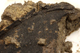 FileNo.159-262.jpg