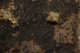 FileNo.159-263.jpg