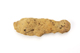 FileNo.159-268.jpg