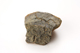 FileNo.159-271.jpg