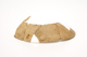FileNo.159-294.jpg