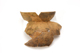 FileNo.159-295.jpg