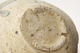 FileNo.160-002.jpg