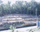 FileNo.160-007.jpg