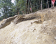 FileNo.160-027.jpg