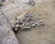 FileNo.160-029.jpg