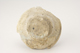 FileNo.160-039.jpg