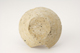 FileNo.160-042.jpg