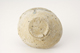 FileNo.160-045.jpg