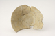 FileNo.160-047.jpg