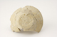 FileNo.160-048.jpg