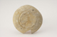 FileNo.160-051.jpg