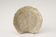 FileNo.160-053.jpg