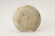 FileNo.160-054.jpg