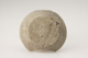FileNo.160-063.jpg
