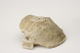 FileNo.160-066.jpg