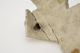 FileNo.160-079.jpg