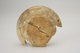 FileNo.160-083.jpg