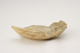 FileNo.160-087.jpg