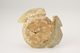 FileNo.160-089.jpg
