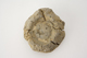 FileNo.160-093.jpg