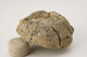 FileNo.160-094.jpg