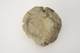 FileNo.160-095.jpg