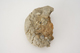 FileNo.160-099.jpg